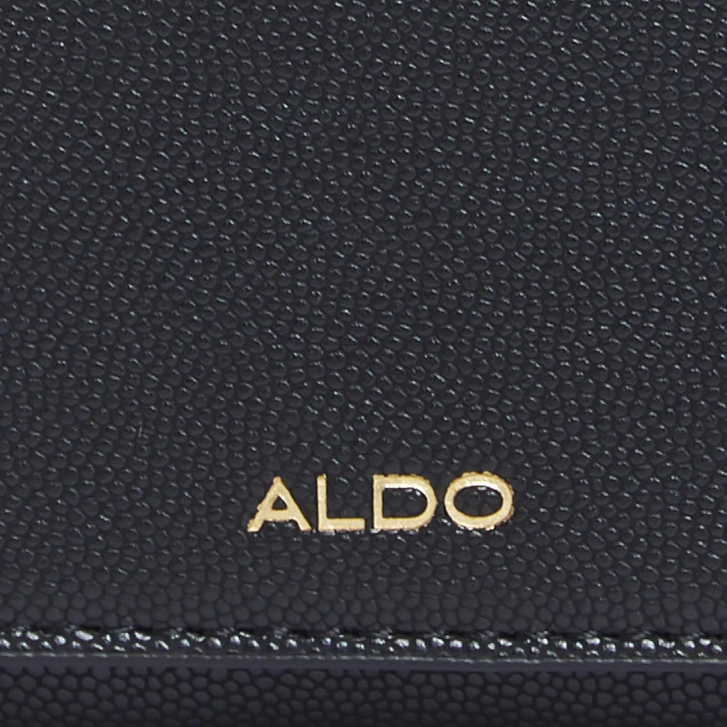 ALDO Women's Pietrarubbia Wallet, Black