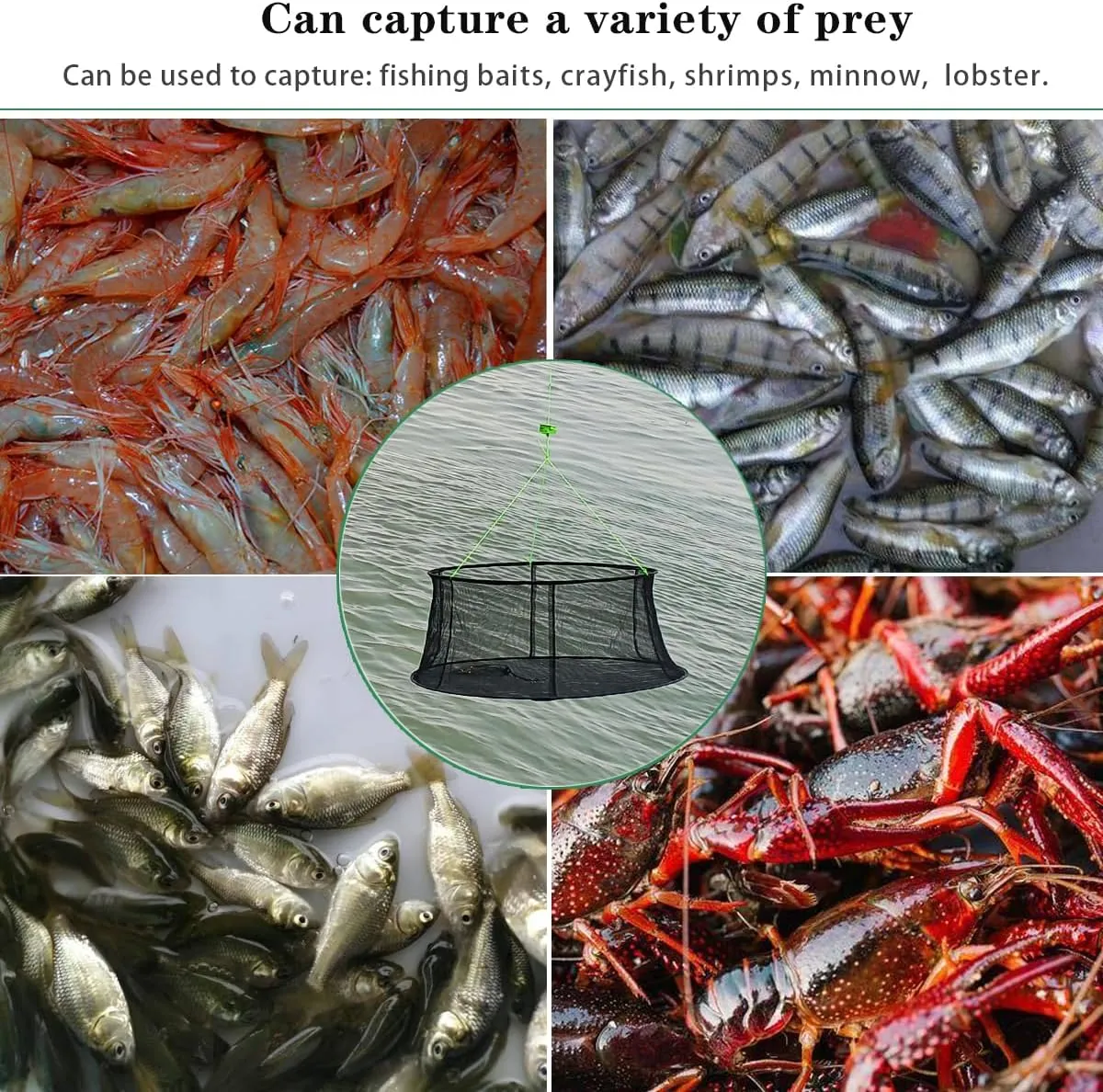 Drasry Fishing Net Trap for Bait Minnow Shrimp Crayfish Foldable Fish Crawdad Lobsters Cast Net Collapsible