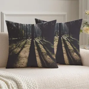 Fall Pillow Covers 20x20 Set of 2 Morning Sun Autumn Park Footpath Sunrise Forest Latvia Foliage Nature Vintage Wood Design Walking Pillow Case Velvet Decorative Pillows Square Cushion Covers