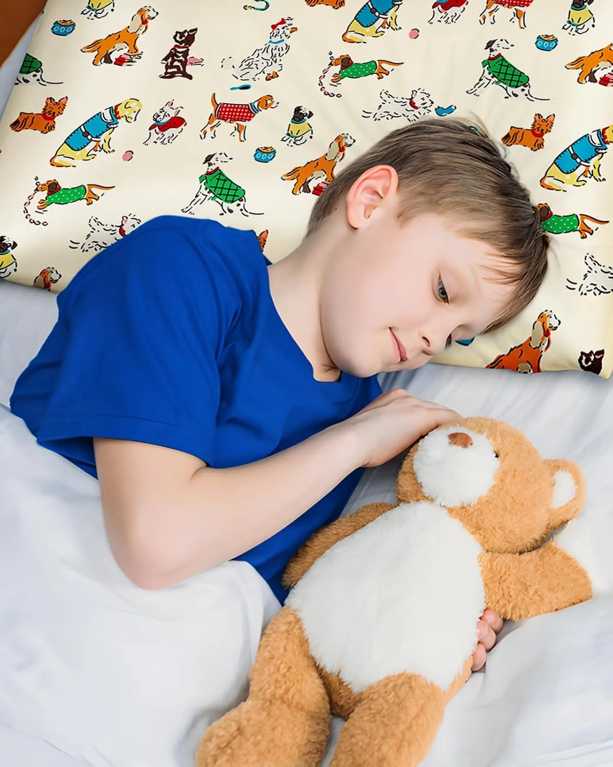 Kids Mulberry Silk Pillowcase - 30"x20" Queen Size, Cute Cartoon Kawaii Fun Pillowcase for Teens Boys Girls, Puppy Design