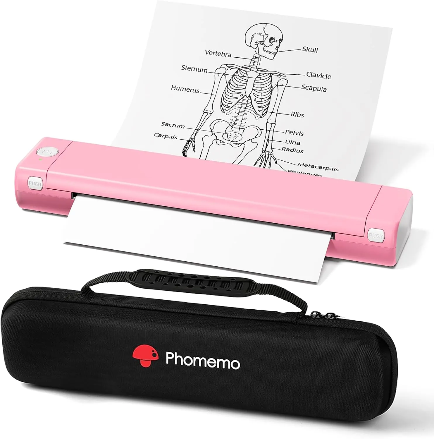 Phomemo Inkless Portable Printer for Travel - Wireless Thermal Printer Compatible with Phone & Laptop, Bluetooth Printers Supports 8.5" X 11" Letter Thermal Paper, Come with Carry Case